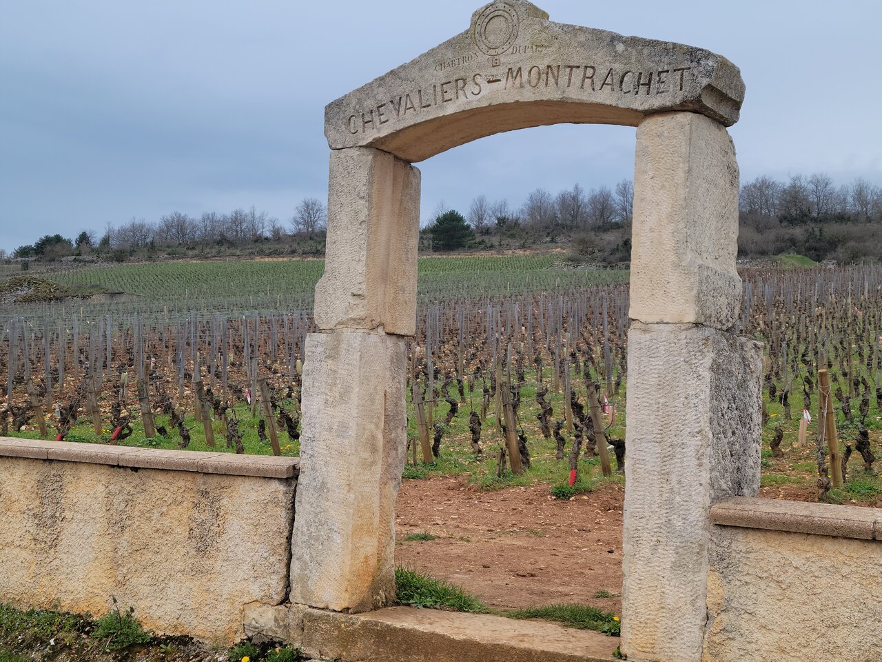 rsz_Chevaliers Montrachet Chevaliers Montrachet gate outside Burgundy Vineyard