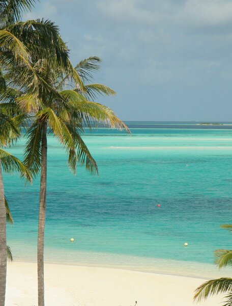 Colorful turquoise and green water in the Maldives