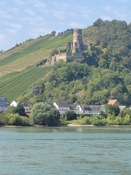 Castles on the Rhine